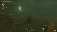 You’ll find the Bubbulfrog in the pit with the falling platforms.