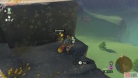!Sundelions can be found while exploring, especially in higher places