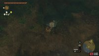 There is a hole in the back of the cave you can drop down.