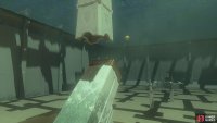 The switch on the raised section will launch the ball across the shrine, out of your control.