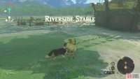Explore the Whistling Hill area until you find the !Riverside Stable