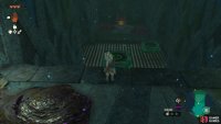 Make your way to the orb.