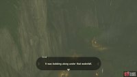 Speak with the researcher to find a Hearty Truffle.