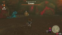 Stand in front of a flat rock until !Yunobo starts spinning and then move out of the way.