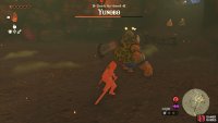 !Yunobo can be damaged when you see stars around his head.