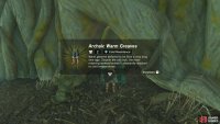 then enter the stump and loot a chest to obtain the Archaic Warm Greaves.