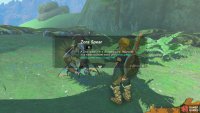 after which he’ll reward you with a Zora Spear.