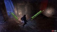 Climb the ladder, and turn off the water before heading past the Fire Swordsman, and dropping the hole behind the altar.