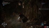 Destroy the vines to find the Cursewyrm Ring.