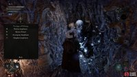 Earn Petrified Coins from playing co-op