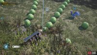 When you reach the first column of cacti, wait for the cacti to deflate,