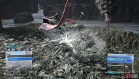 Complete Woodland Vigil to unlock Fortunes Untold Vol. VI.