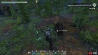 You can walk up to any animal and ask them to start guarding you within 50 meters of the spot.