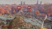 Search the area for trees with white leaves.