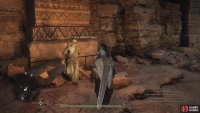 You need to carry Ser Maurits to a place where there&rsquo;s open sky above, then use the Ferrystone to the Frontier Shrine. 