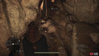 You&rsquo;ll need to escort Zoran out of the cave, but he&rsquo;s quite fragile - take it slow and don&rsquo;t let Saurians near him or attempt to pick him up, lest he succumb to his wounds.