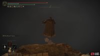 so take a leap of faith into the pit to reach the boss.