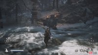 to find the fifth Awaken Wine Worm behind this large enemy.