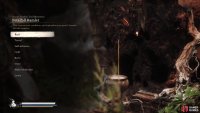 Start at the Petalfall Hamlet Shrine