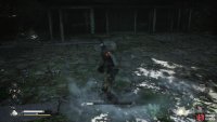 to find the Commander Beetle
