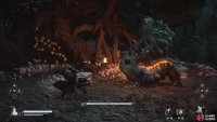 to find the Elder Armourworm