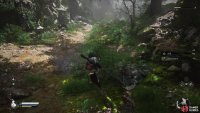 Take the right path and cross the bridge from the Shrine to reach the Wandering Wight.