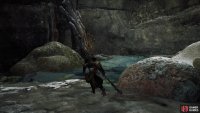 and look in the left corner of the stream to find the fourth vine.