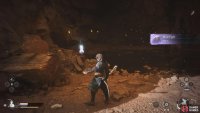 You can absorb the Mad Tiger Spirit after you defeat him.