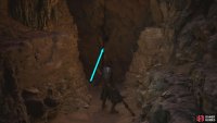 Follow the winding path and go through the crack in the wall, where you’ll fight a Swift Bat.