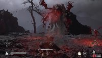to find the Mother of Flamlings