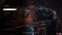 Speak to the Yin Tiger after beating him and choose the option to equip more Curios.
