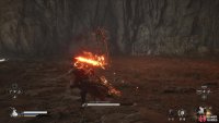 Keep an eye on the ring at all times and dodge away from it.
