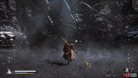 Examine the ice gate after speaking to the Pale-Axe Stalwart to open the way to Chapter 5’s secret area.