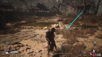 Walk further in to where you fight the Earth Wolf.