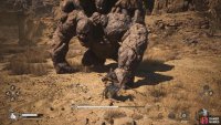To summon the Shingandang boss where you fought the Stone Vanguard.