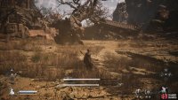 to find the Stone Vanguard
