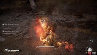 to find the “Tiger Vanguard”