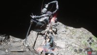 to find another Venom Daoist