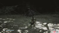 to find the Violet Spider