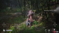 Start at the Marsh of the White Mists Shrine