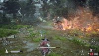 to find the Yin Tiger at the back of the area.