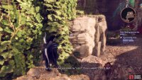 Use Harding’s Abilities to reach the top of the rock 