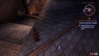 drop down to a lower ledge,