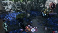 The second flower can be found in the Old Crossroads.