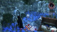 The final flower is hidden in Solitude’s Edge.