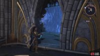 Interact with the door to make it disappear.