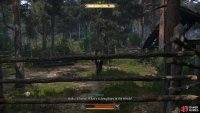 To find an examine the black horse from the stories you’ve been hearing.