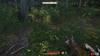 You can find Feverfew by a tree just to the left of the camp.