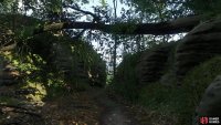 specifically you’re looking for a path leading between two rocks, under a fallen tree, north of Castle Trosky.