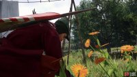 All you really need for the Alchemy minigame are some herbs.